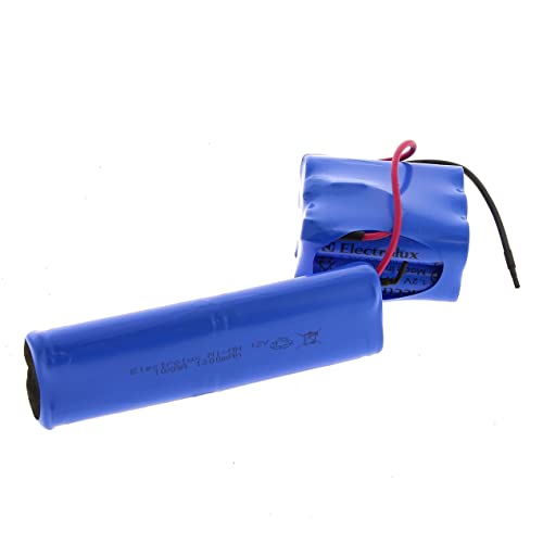 Electrolux AEG - Kit de baterÃ­a 12 V Ergorapido AG901 AG935 ZB2901 ZB2955 ZB2934 AG